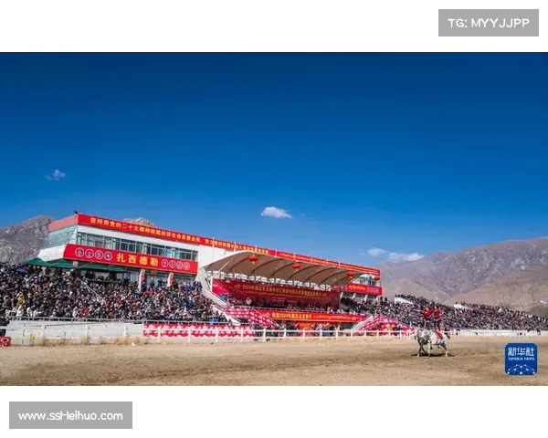 西藏马术旅游精品路线发布 赛马大会推动牧场体验游预订激增 西藏马术旅游精品路线发布 赛马大会推动牧场体验游预订激增